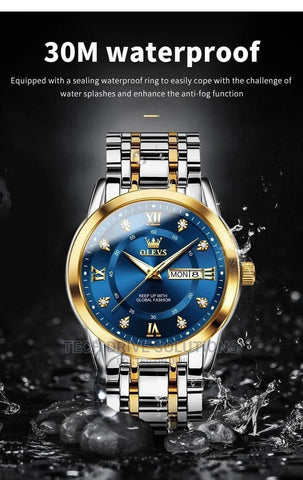 Olevs 5513 gents watch